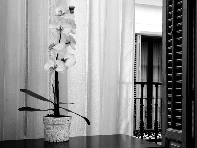 Hostal Condestable Madrid Exterior photo